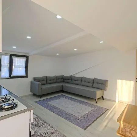 Acelya Sitesi 公寓 *